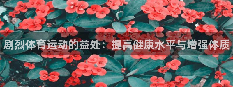 球宴体育app官方下载：剧烈体育运动的益处：提高健康水平与增强体质