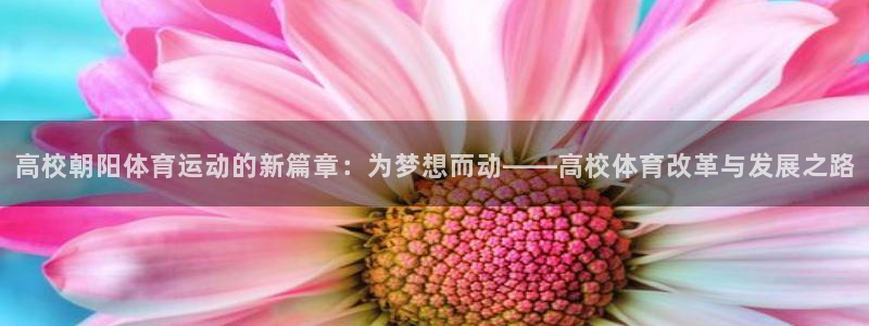 球宴体育iOS下载入口：高校朝阳体育运动的新篇章：为梦想而动——高校体育改革与发展之路