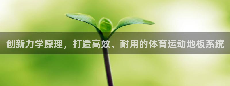 球宴体育app下载：创新力学原理，打造高效、耐用的体育运动地板系统