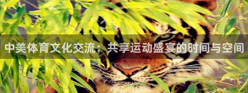 球宴体育免费下载安装：中美体育文化交流：共享运动盛宴的时间与空间