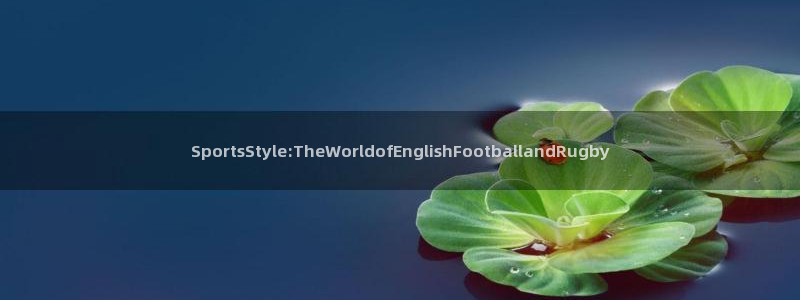 球宴体育免费下载安装：SportsStyle:TheWorldofEnglishFootballandRugby