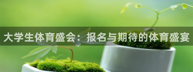球宴体育app下载：大学生体育盛会：报名与期待的体育盛宴