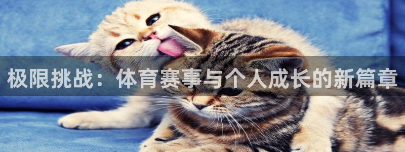 球宴体育比分：极限挑战：体育赛事与个人成长的新篇章