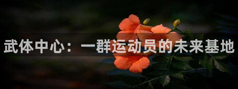 球宴体育网页：武体中心：一群运动员的未来基地